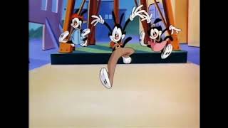 Animaniacs Theme Song Remix [upl. by Guglielmo]