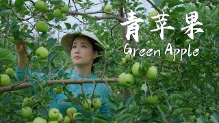 Green apple the taste of childhood—tangy sweet refreshing with a crisp and juicy bite【滇西小哥】 [upl. by Reiner]