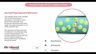 Reversed Phase HPLC 8  Separation Mechanism [upl. by Gibby]