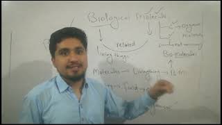 Biological molecules Biochemistry Molecules Types of Molecules [upl. by Nelleus]