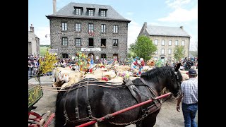 la journée de transhumance à Aubrac du 26 Mai 2024 [upl. by Anada]