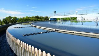 Rising Sludge  Activated Sludge Process  Wastewater Treatment [upl. by Odnanreh]