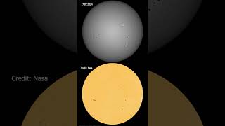 A Month of Solar Rotation Captured by a DSLR Camera shorts [upl. by Nameerf]