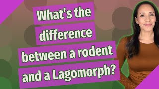 Whats the difference between a rodent and a Lagomorph [upl. by Torre829]