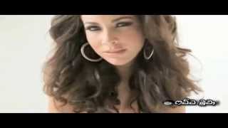 Pitbull  Tchu Tchu Tcha feat Enrique Iglesias  Official HD Video 2013 [upl. by Flannery68]