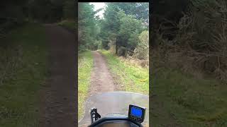 Relaxing ride through the forest  on Honda cb500x [upl. by Yarb]