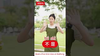 5 Chinese Basic Words How many do you know😊 wukongchinese learnchinese [upl. by Aenil190]