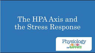 The HPA Axis and the Stress Response [upl. by Marcelline]