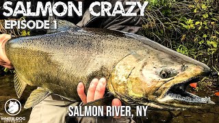 Salmon Crazy 2020  Episode 1  Salmon River NY [upl. by Anjela]