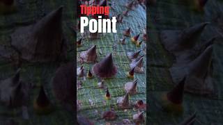 The 8020 Principle Uncover the Tipping Point  Hindi Audiobook Shorts [upl. by Gebhardt]