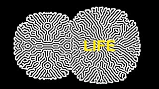 LIFE  EP1 Artificial Life [upl. by Enirehtacyram240]