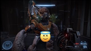 Halo Infinite Campaign Friendly Grunt [upl. by Buskus292]