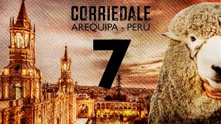 Corriedale Arequipa Perú 7 [upl. by Trescha]