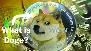 What is Doge Crypto Explained [upl. by Anec]