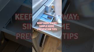 Simple damp  mould prevention tips cleaninghacks cleaningtips cleaning cleaningmotivation [upl. by Worlock]