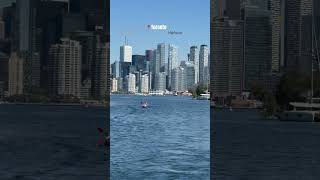 📍Toronto Harbour Boat Tour🛥️ canada toronto shorts viralvideo [upl. by Ativel]