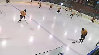 Pride Varsity Hockey vs Westminster • Livestream Replay [upl. by Ahsiuqel]