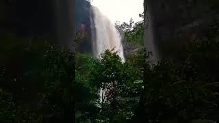 Talakona waterfalls Tirupati Andhra pradesh kvpgworld trending waterfall talakona [upl. by Acherman]