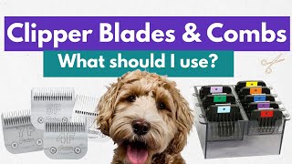 Dog Grooming Clipper Blades And Combs  Whats The Difference What Should I Use [upl. by Maynord930]