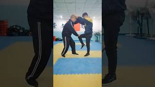 防身格斗术教学 kungfu martialarts [upl. by Merrily]