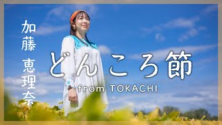 【民謡歌手が歌う】どんころ節 ～加藤 恵理奈～／ 【Japanese soul song】Donkoro Bushi song by erina kato [upl. by Lennej]