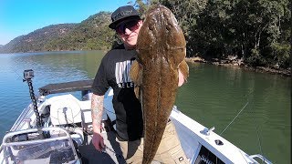 The BIGGEST Flathead I’ve Ever Seen  Crocodile Hunting In The Hawkesbury River  Fishing Australia [upl. by Essirehc]