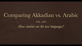 Akkadian vs Arabic  How similar is Akkadian to Arabic [upl. by Ivz]