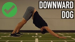 Downward Dog  Do It Right With Progressions [upl. by Udale]