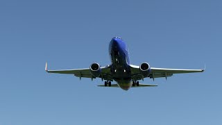 DO THEY NEED MORE PRACTICE Southwest 737 Lands Runway 19 Reagan National DCA [upl. by Nalniuq]