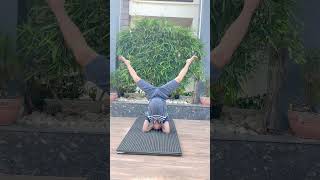 Shirshasana part2 shirsasana health yoga motivation sunday relaxation oldisgold oldisyoung [upl. by Tunnell]