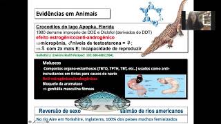 Desreguladores Endócrinos [upl. by Aihn]