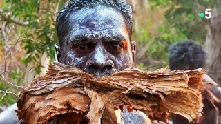 Aborigènes  la danse du crocodile fait un peu peur  ZAPPING NOMADE [upl. by Ernesta]