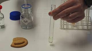 Lipid emulsion test IGCSE Biology [upl. by Googins]