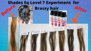 Shades Eq Level 7 Experiment for Brassy Hair [upl. by Debee987]