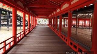 MIYAJIMA  3 min trip 【宮島  広島】 [upl. by Dionisio]