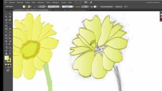 schets overtrekken in Illustrator [upl. by Drannek]