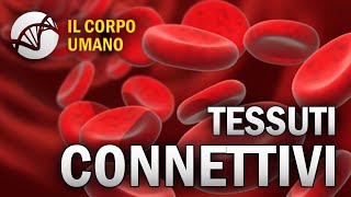 Tessuti Connettivi  Il Corpo Umano  Estratto [upl. by Gonzalo]