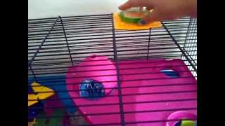 Savic Hamster Heaven Metro Cage Review [upl. by Lewiss]