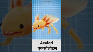 How Axolotl regenerate limbs shorts facts [upl. by Adnovad749]