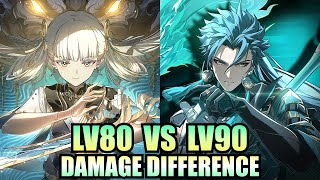 LV80 vs LV90 damage difference  S0 Jiyan amp Jinhsi  Wuthering Waves [upl. by Esialb]