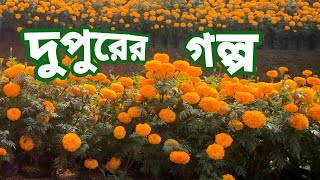 দুপুরের গল্পবাঙাল ঘটির গল্পবাংলা গল্পBengali Audio StoryBangla golpoJhimly Sathe Rohoshy Golpo [upl. by Sihtam]