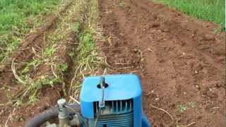 Ransomes MG5 Crawler and our Potatoes 2011 [upl. by Seira]