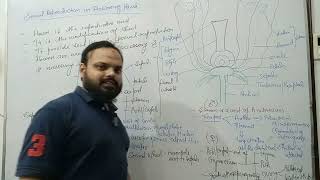 Introduction of reproduction in Flowering plant L1 [upl. by Victoir18]