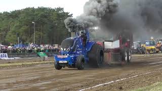 Forest King  Super sport 4500 kg  Laholms pullingfestival 2024 [upl. by Eugine]