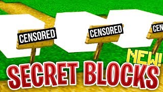 Minecraft 18  How to GET SECRET BLOCKS Bedrock Edition Minecraft PE 180 [upl. by Akinohs]