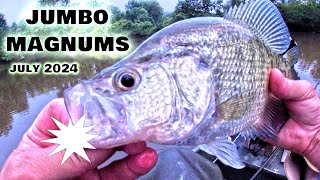 MAKE EM BITE Shallow JUMBO MAGNUM Summer Crappie Fishing July 2024 [upl. by Lionello]