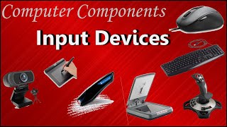 Input Devices of Computer  Examples and purpose [upl. by Truk725]