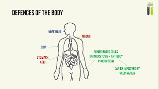 GCSE Biology Revision quotPathogensquot [upl. by Annoik]