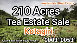 210 Acres Tea Estate for Sale in Kotagiri  Annamalai Real Estate [upl. by Imhsar761]