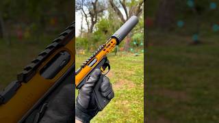 Gold Ruger Mark IV with R45 silencer [upl. by Atinar]